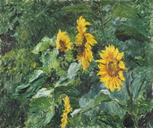 Soleils, Jardin du Petit Gennevilliers