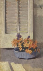 Chrysanthemums in Pot