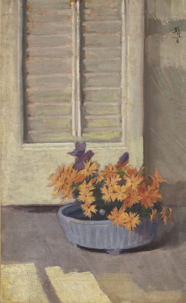 Chrysanthemums in Pot