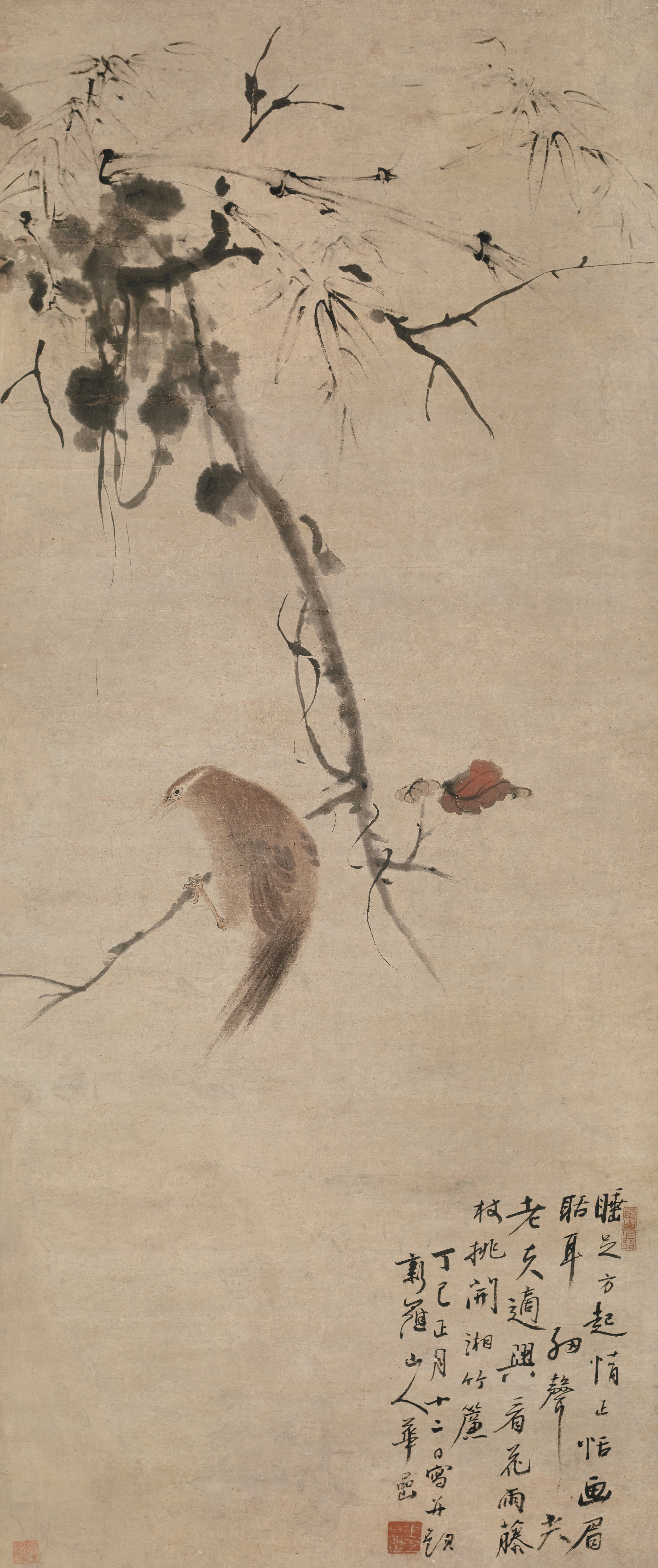 《红叶画眉图》轴