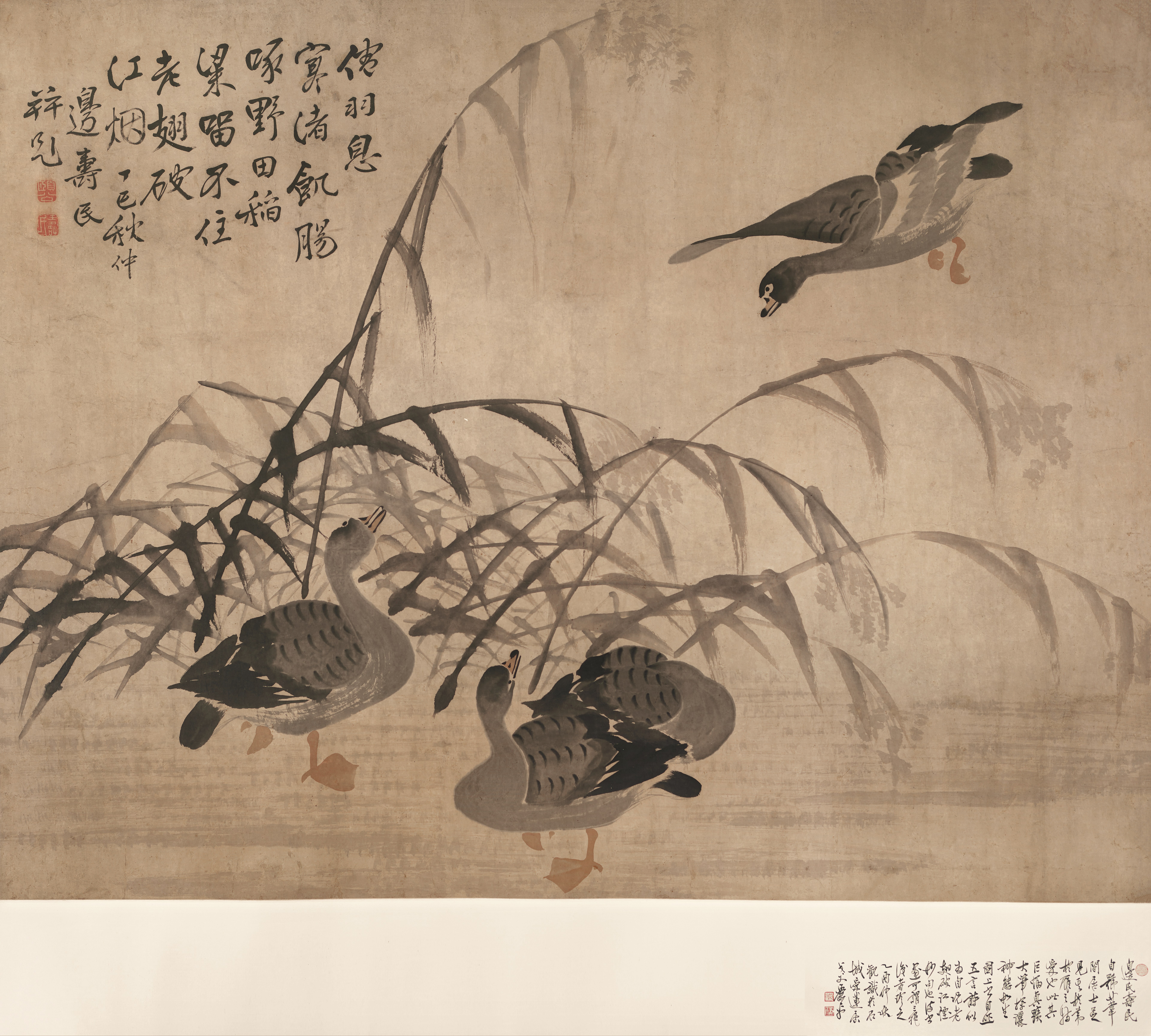 《芦雁图》轴