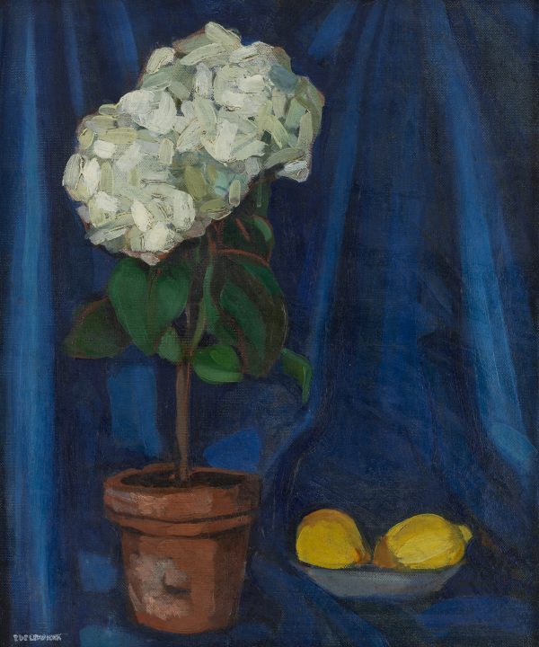 Bouquet d’Hortensias et Citron
