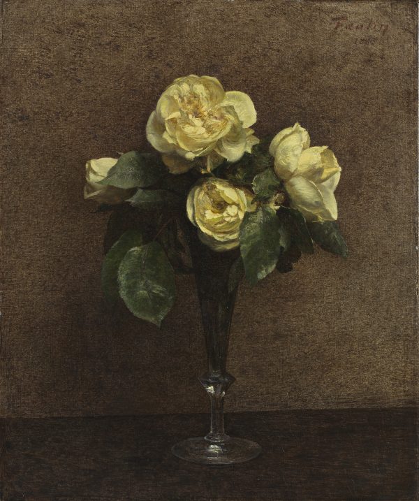 Roses Jaunes, Maréchal Niel