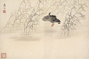 《芦雁图》册