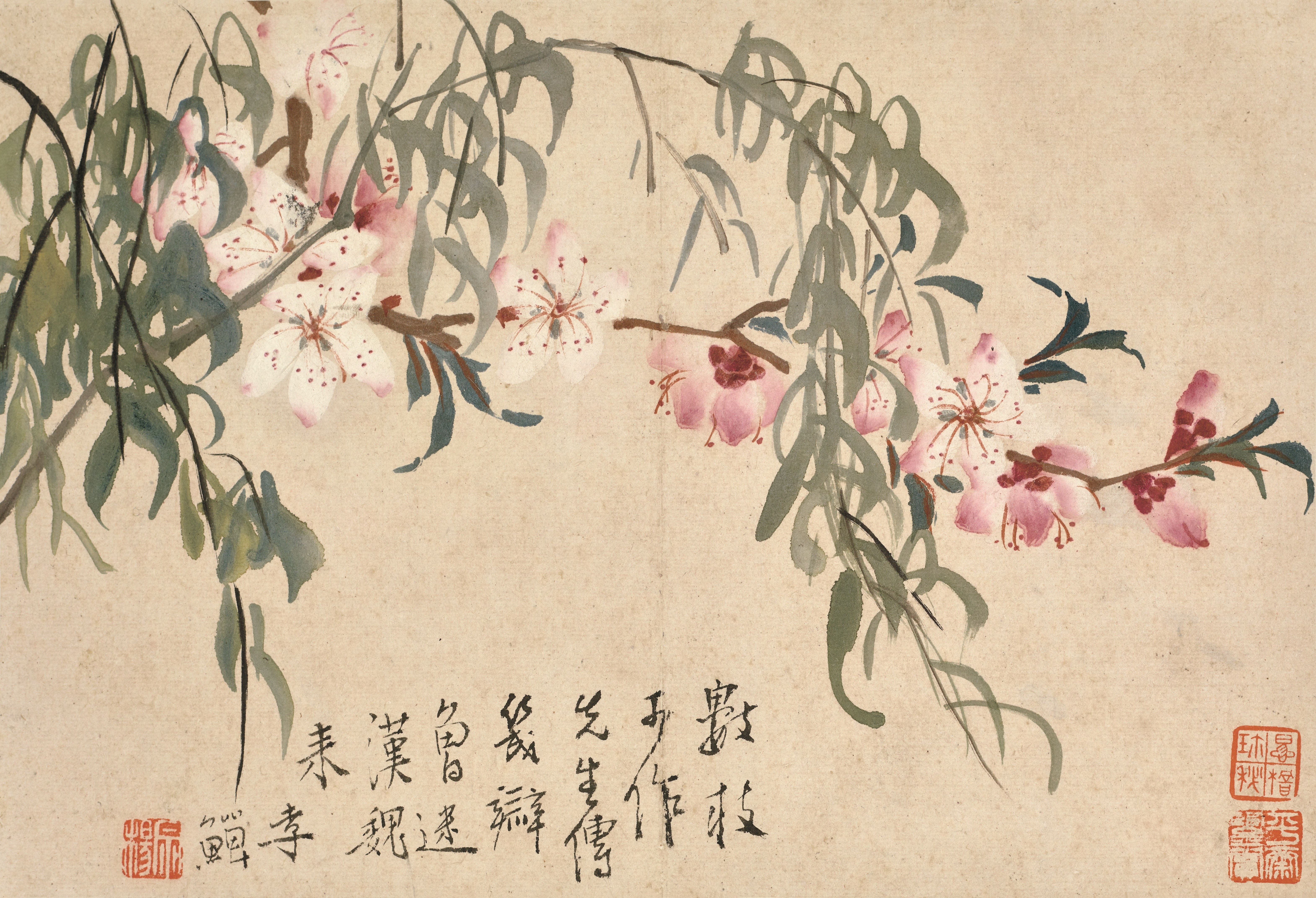 《花鸟草虫图》册