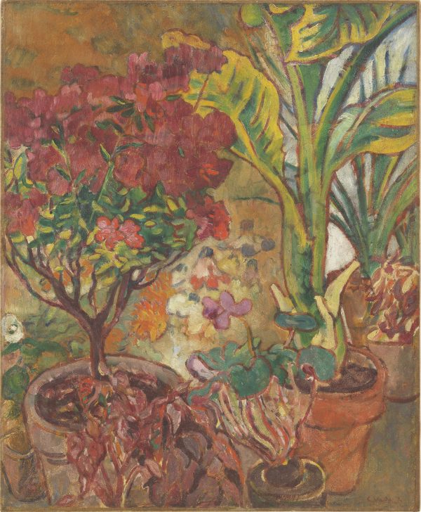杜鹃花与绿植
