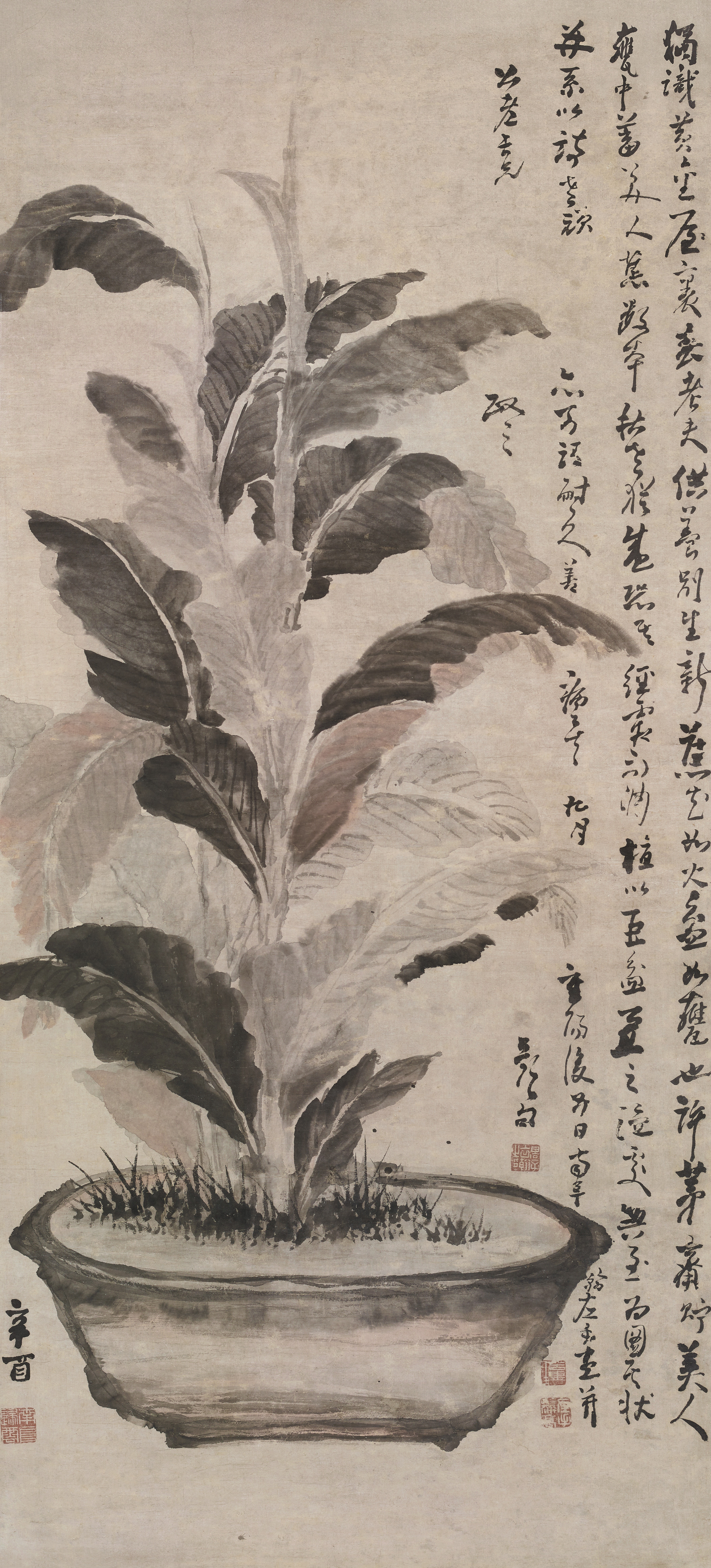 《美人蕉图》轴
